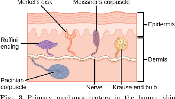 Figure 4 for Visuo-Haptic Object Perception for Robots: An Overview