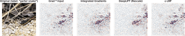 Figure 3 for Towards better understanding of gradient-based attribution methods for Deep Neural Networks