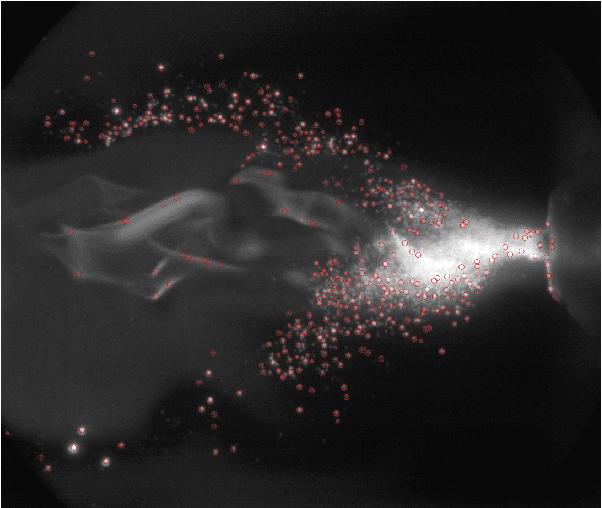 Figure 4 for Towards Online Steering of Flame Spray Pyrolysis Nanoparticle Synthesis