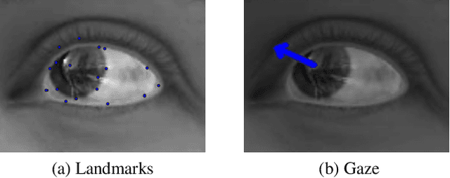 Figure 1 for Privacy Preserving Gaze Estimation using Synthetic Images via a Randomized Encoding Based Framework
