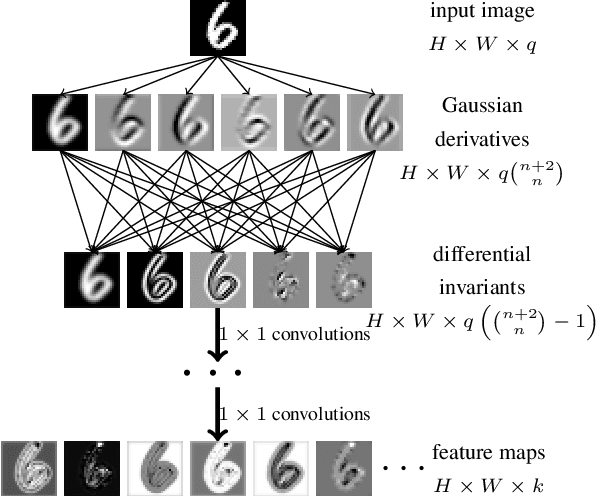 Figure 2 for Differential invariants for SE(2)-equivariant networks