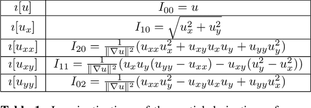 Figure 1 for Differential invariants for SE(2)-equivariant networks
