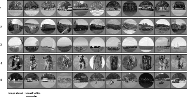 Figure 3 for BigGAN-based Bayesian reconstruction of natural images from human brain activity