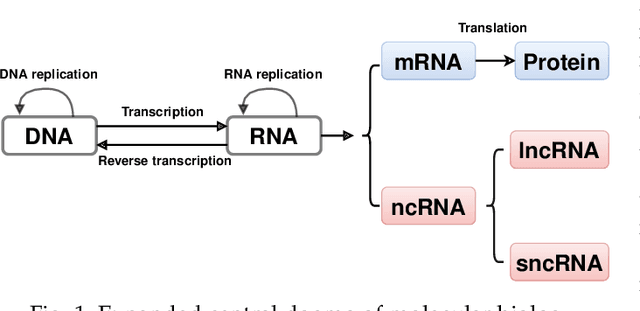 Figure 1 for BASiNETEntropy: an alignment-free method for classification of biological sequences through complex networks and entropy maximization