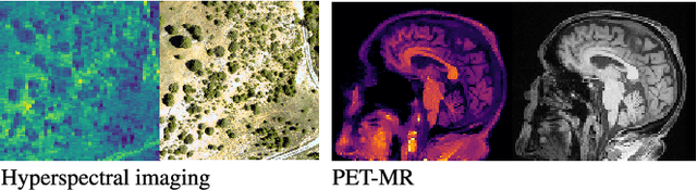 Figure 1 for Robust Image Reconstruction with Misaligned Structural Information