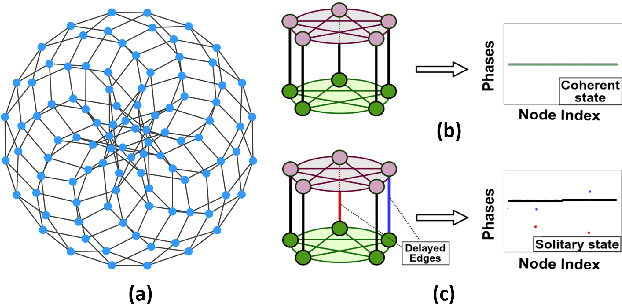 Figure 1 for Machine Learning assisted Chimera and Solitary states in Networks