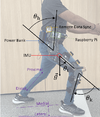 Figure 4 for Enhancing Voluntary Motion with Modular, Backdrivable, Powered Hip and Knee Orthoses