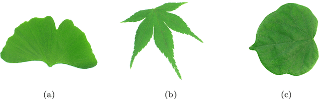 Figure 3 for An Effective Leaf Recognition Using Convolutional Neural Networks Based Features