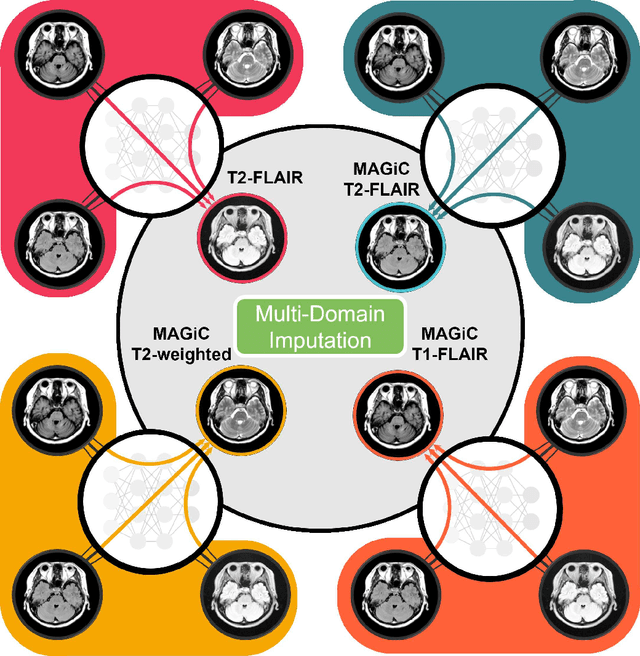 Figure 1 for Which Contrast Does Matter? Towards a Deep Understanding of MR Contrast using Collaborative GAN