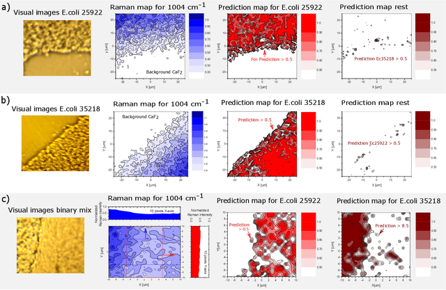 Figure 3 for Accurate and fast identification of minimally prepared bacteria phenotypes using Raman spectroscopy assisted by machine learning