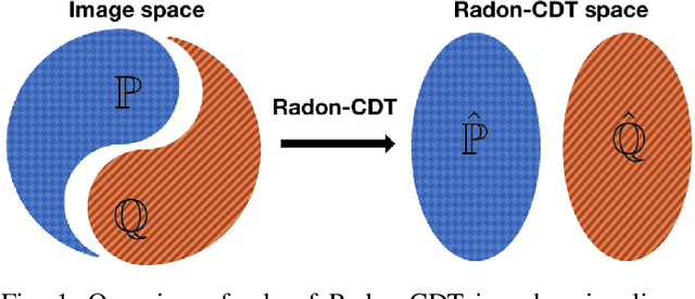 Figure 1 for The Radon cumulative distribution transform and its application to image classification