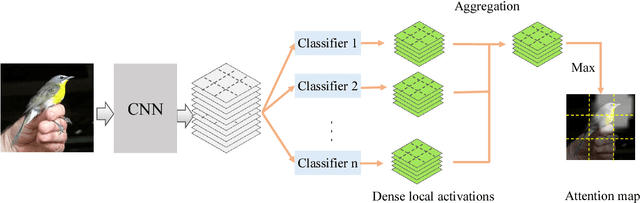 Figure 1 for Generating Attention from Classifier Activations for Fine-grained Recognition