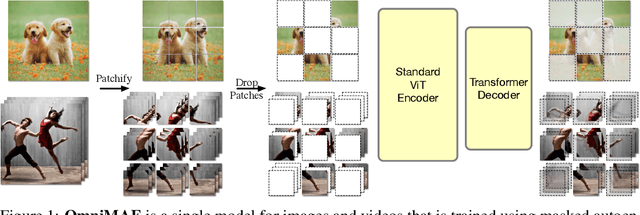 Figure 1 for OmniMAE: Single Model Masked Pretraining on Images and Videos