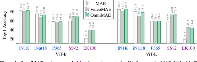Figure 3 for OmniMAE: Single Model Masked Pretraining on Images and Videos