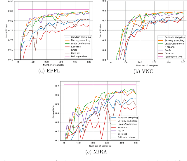 Figure 2 for Cost-efficient segmentation of electron microscopy images using active learning