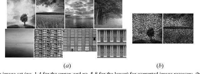 Figure 3 for Nonconvex Approach for Sparse and Low-Rank Constrained Models with Dual Momentum