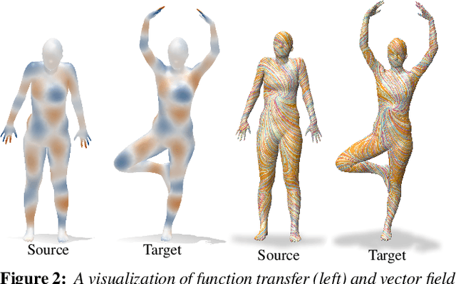 Figure 3 for Complex Functional Maps : a Conformal Link Between Tangent Bundles