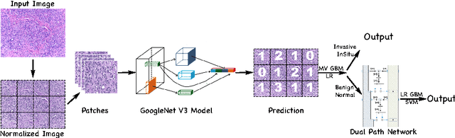 Figure 3 for Deep Learning Framework for Multi-class Breast Cancer Histology Image Classification