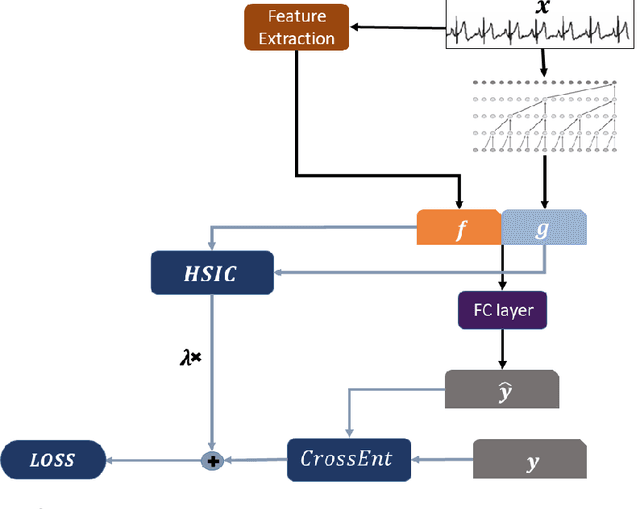 Figure 1 for Using Deep Networks for Scientific Discovery in Physiological Signals