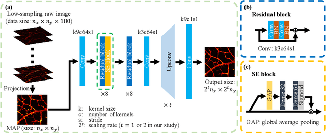 Figure 3 for Photoacoustic Microscopy with Sparse Data Enabled by Convolutional Neural Networks for Fast Imaging