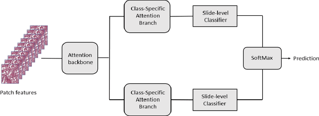 Figure 3 for EGFR Mutation Prediction of Lung Biopsy Images using Deep Learning