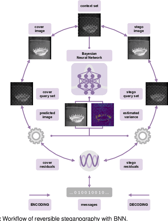 Figure 1 for Bayesian Neural Networks for Reversible Steganography