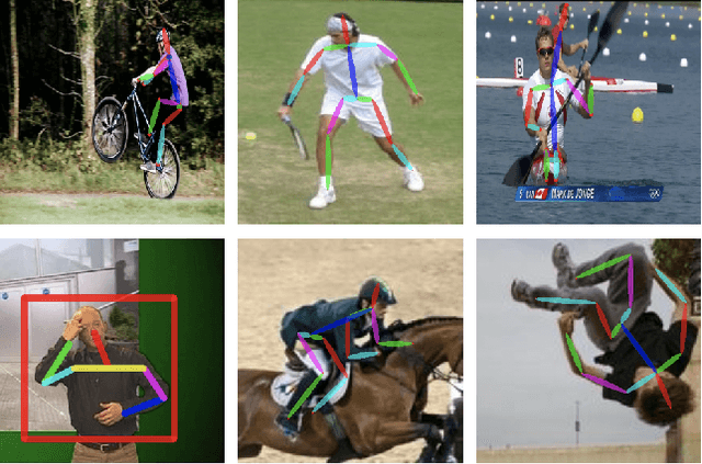 Figure 1 for UniPose: Unified Human Pose Estimation in Single Images and Videos