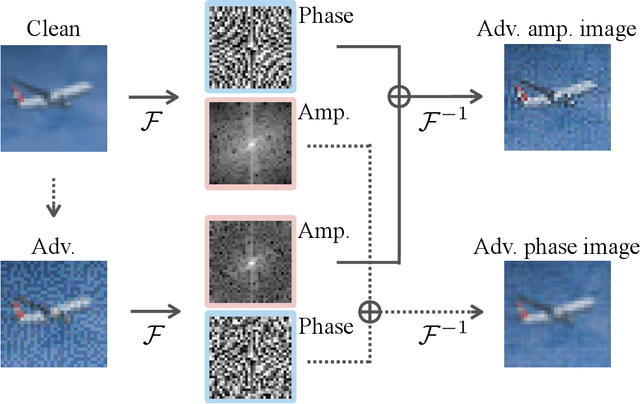 Figure 1 for Adversarial amplitude swap towards robust image classifiers