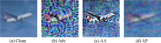 Figure 4 for Adversarial amplitude swap towards robust image classifiers