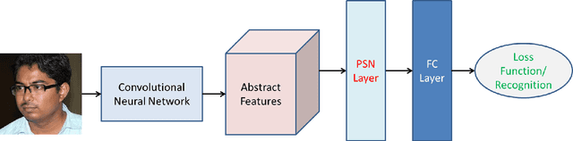 Figure 1 for PSNet: Parametric Sigmoid Norm Based CNN for Face Recognition