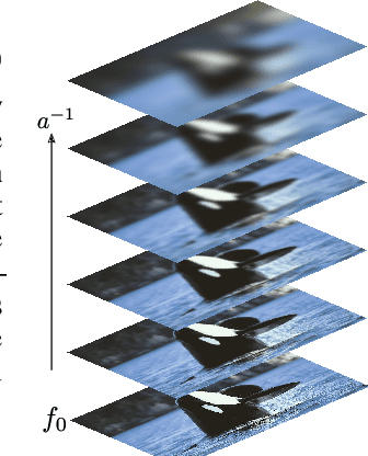 Figure 3 for Deep Scale-spaces: Equivariance Over Scale