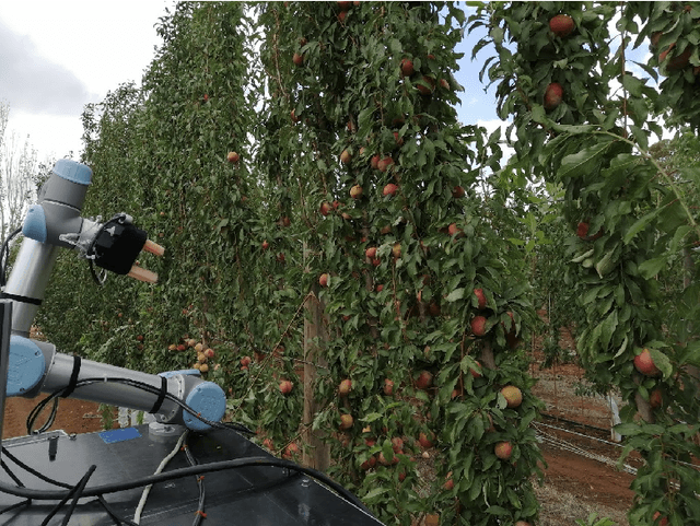 Figure 1 for Design and Evaluation of a Modular Robotic Plum Harvesting System Utilising Soft Components