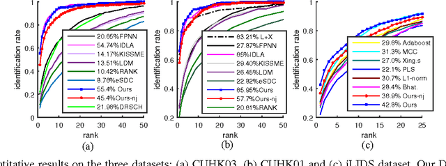 Figure 3 for DARI: Distance metric And Representation Integration for Person Verification