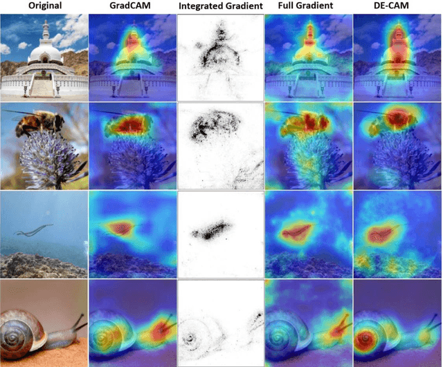Figure 4 for A model-agnostic approach for generating Saliency Maps to explain inferred decisions of Deep Learning Models