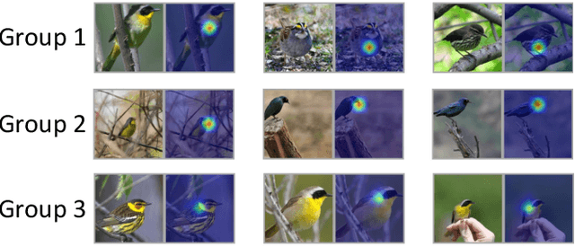 Figure 3 for Towards Improved and Interpretable Deep Metric Learning via Attentive Grouping