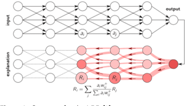 Figure 4 for Explaining Deep Learning Models for Structured Data using Layer-Wise Relevance Propagation