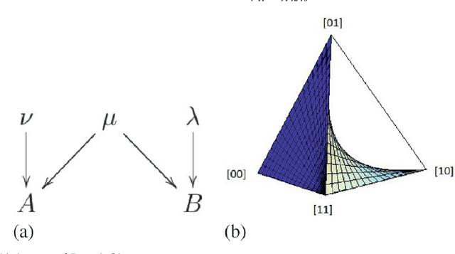 Figure 3 for Causal inference via algebraic geometry: feasibility tests for functional causal structures with two binary observed variables