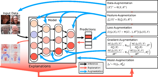 Figure 3 for Beyond Explaining: Opportunities and Challenges of XAI-Based Model Improvement