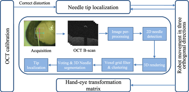 Figure 4 for Towards Robotic Eye Surgery: Marker-free, Online Hand-eye Calibration using Optical Coherence Tomography Images