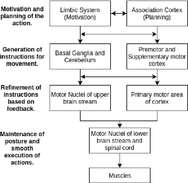 Figure 1 for Hierarchy Influenced Differential Evolution: A Motor Operation Inspired Approach