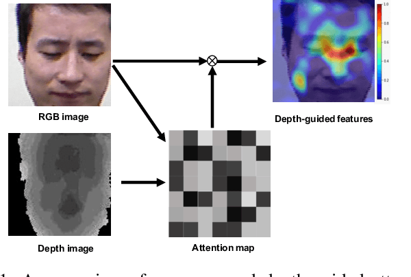 Figure 1 for Depth as Attention for Face Representation Learning