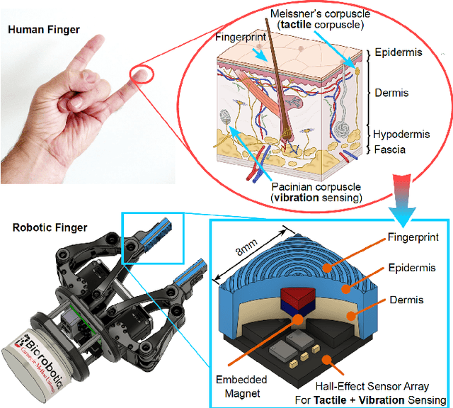 Figure 1 for Design of a Biomimetic Tactile Sensor for Material Classification
