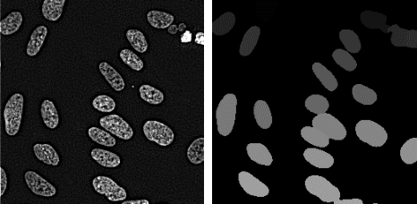 Figure 3 for Enforcing Morphological Information in Fully Convolutional Networks to Improve Cell Instance Segmentation in Fluorescence Microscopy Images