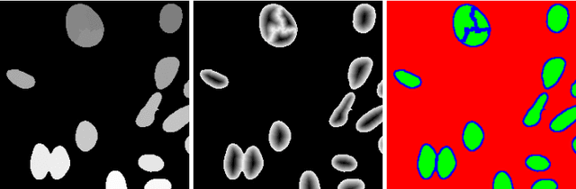 Figure 4 for Enforcing Morphological Information in Fully Convolutional Networks to Improve Cell Instance Segmentation in Fluorescence Microscopy Images