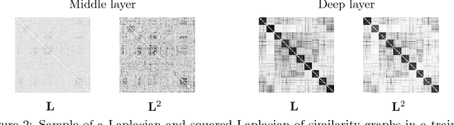 Figure 3 for Laplacian Networks: Bounding Indicator Function Smoothness for Neural Network Robustness