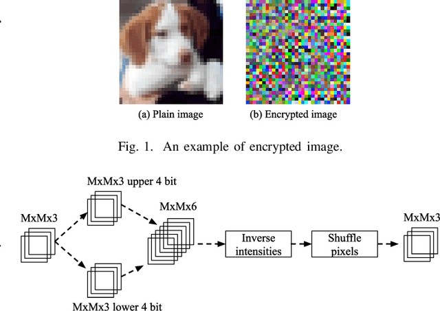 Figure 1 for Adversarial Test on Learnable Image Encryption