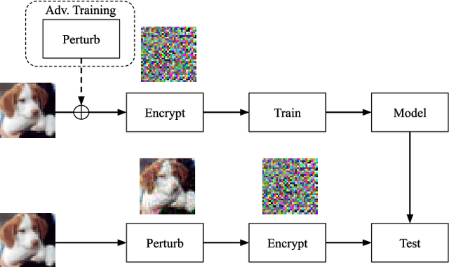 Figure 4 for Adversarial Test on Learnable Image Encryption