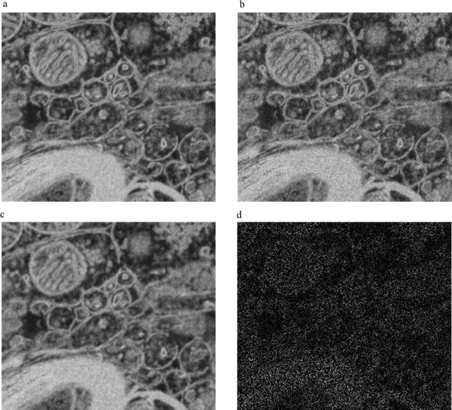 Figure 1 for How should a fixed budget of dwell time be spent in scanning electron microscopy to optimize image quality?