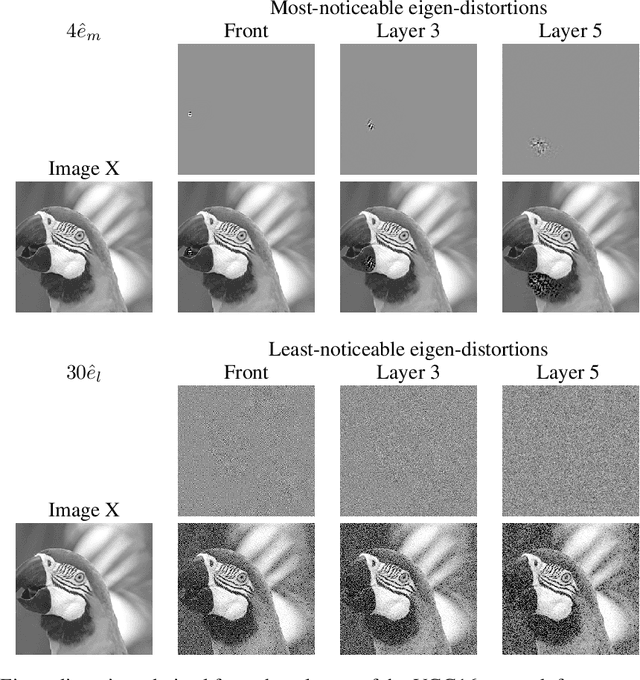 Figure 3 for Eigen-Distortions of Hierarchical Representations