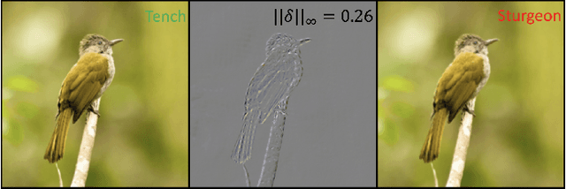 Figure 1 for Generalizing Universal Adversarial Attacks Beyond Additive Perturbations